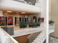 /album/photogallery/sam-7383-jpg/