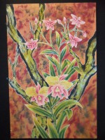 /album/photogallery/sam-7389-jpg/