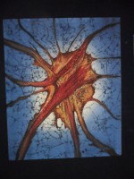 /album/photogallery/sam-7400-jpg1/